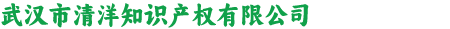 武汉市清洋知识产权有限公司